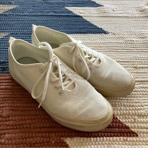 Everlane Sneakers